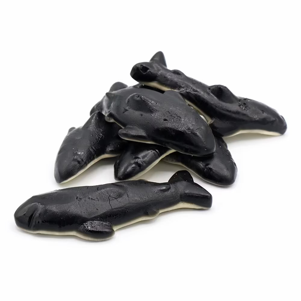 Cola Orca Whales