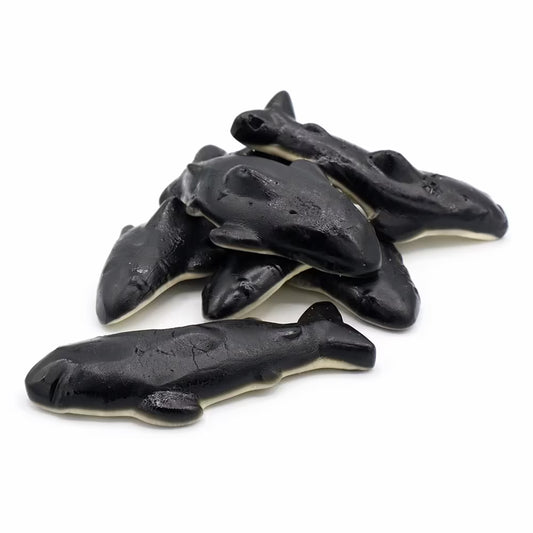 Cola Orca Whales