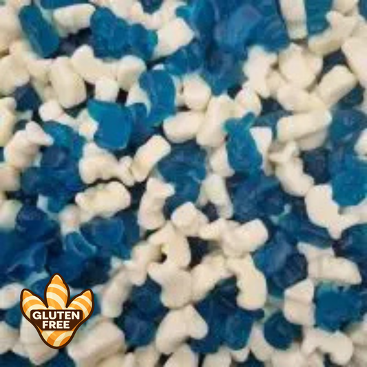 Mini Dolphins
